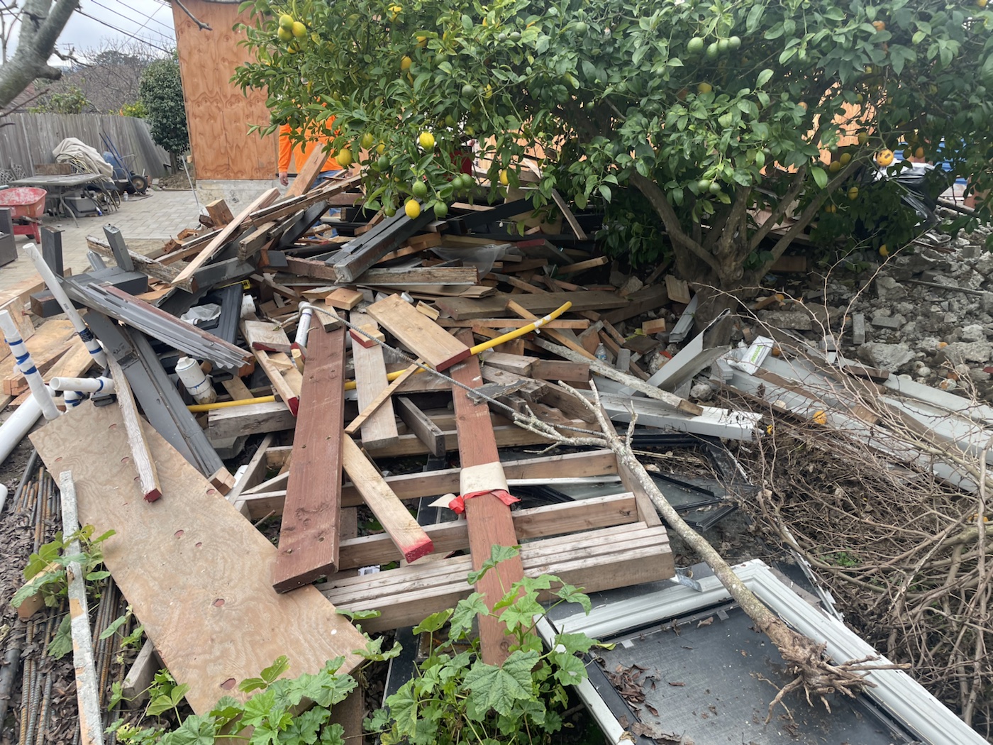 Before: Backyard debris cleanup