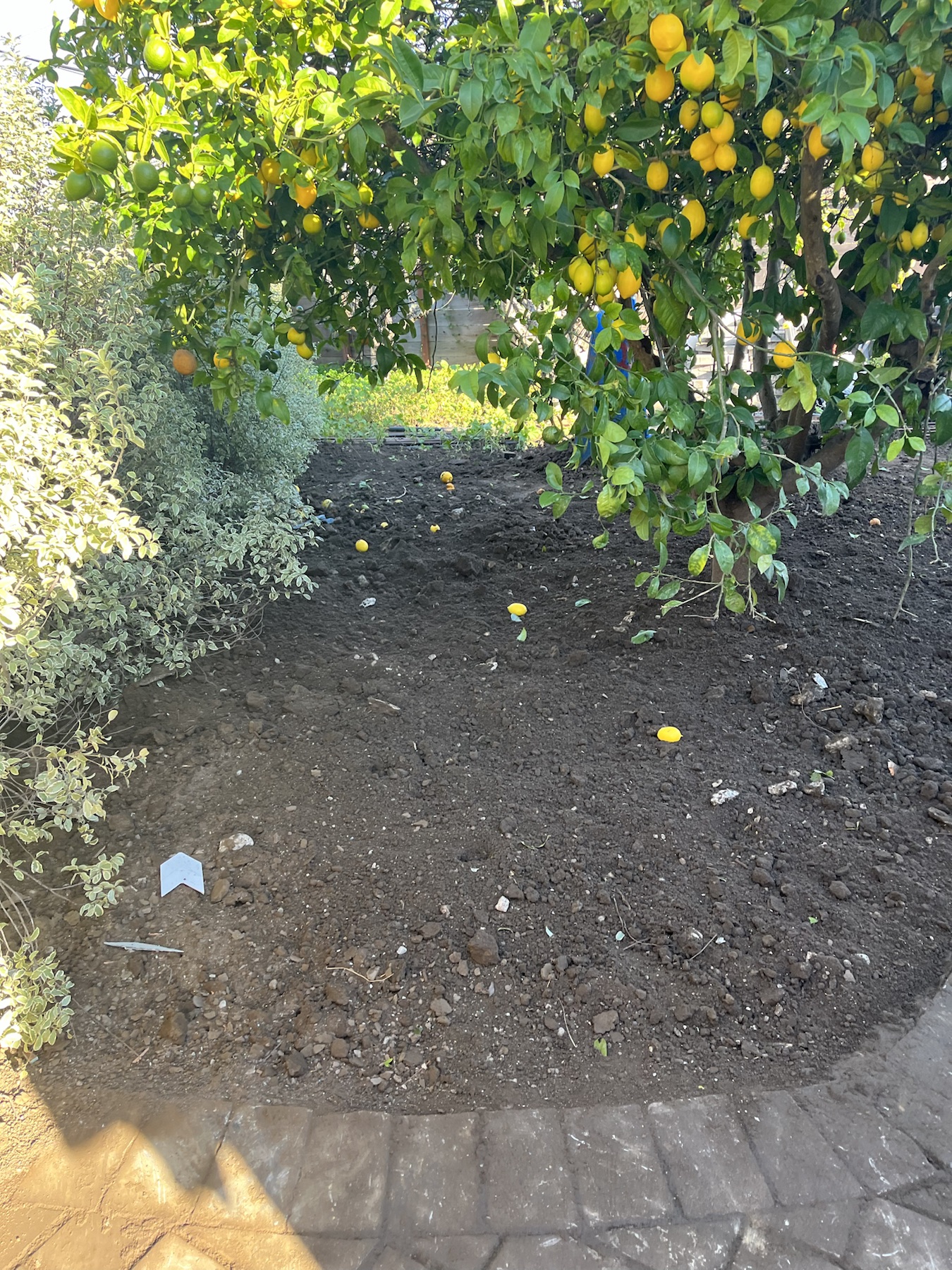 Backyard cleared after JR Brothers removed the construction debris